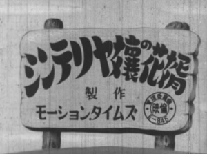 Miss Cinterrier's Groom